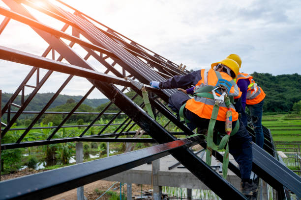 Roof Gutter Cleaning in Deerfield, IL