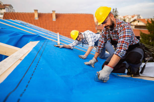 Best Metal Roofing Contractor  in Deerfield, IL