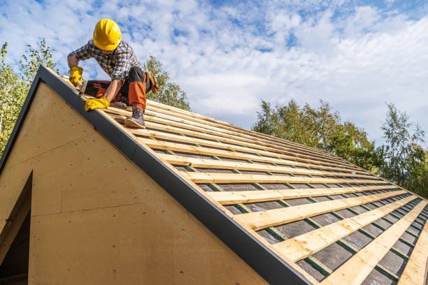 Best Roof Gutter Cleaning  in Deerfield, IL